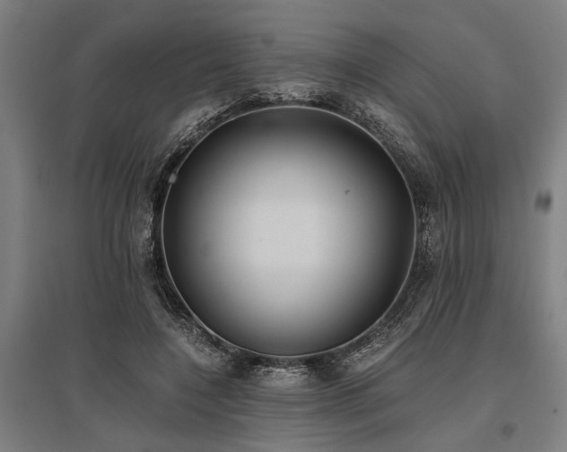 X0000096160548200801181227