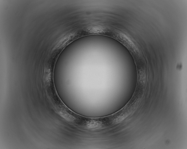 X0000096160549200801181227