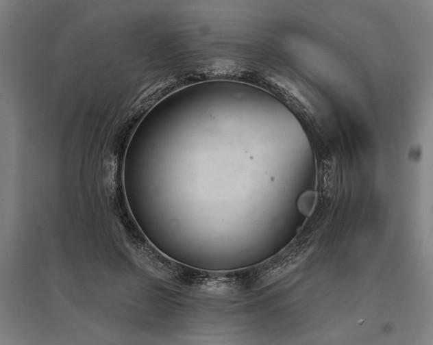 X0000096160550200801181227