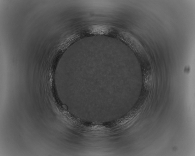 X0000096160551200801181227