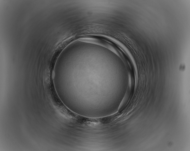X0000096160552200801181227