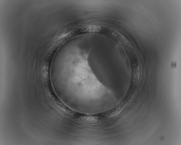 X0000096160553200801181227