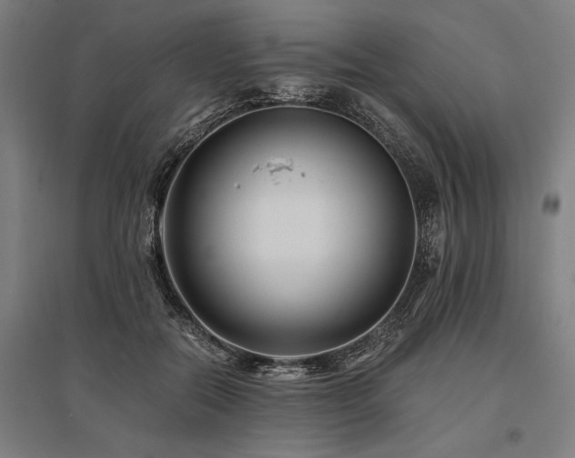 X0000096160554200801181227