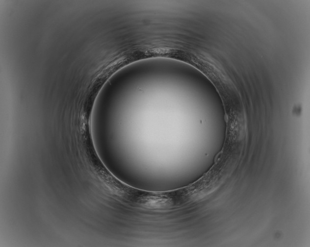 X0000096160555200801181227