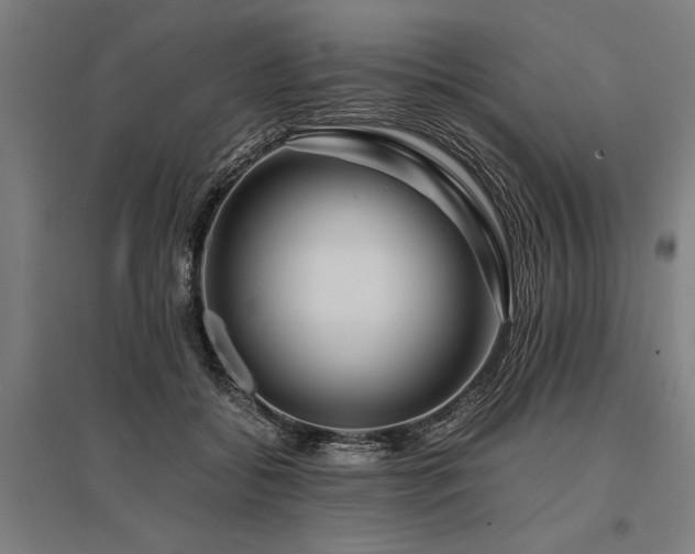 X0000096160556200801181227