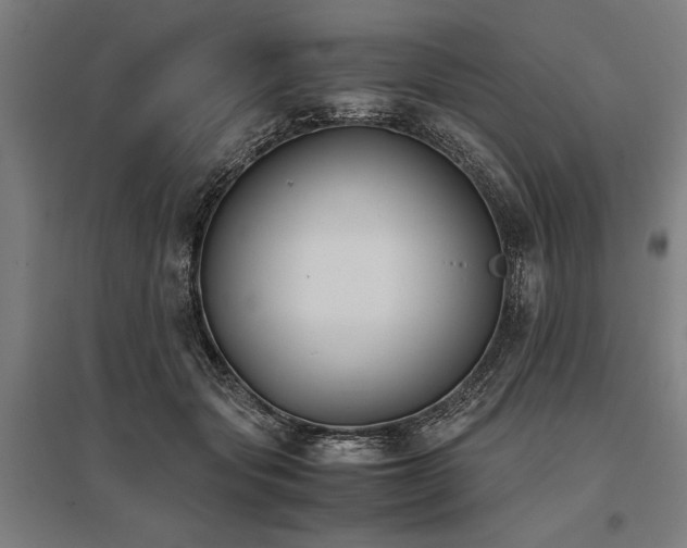 X0000096160557200801181227