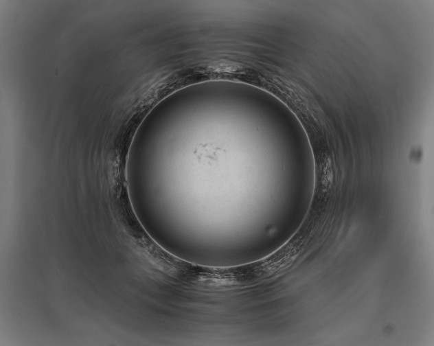 X0000096160559200801181227