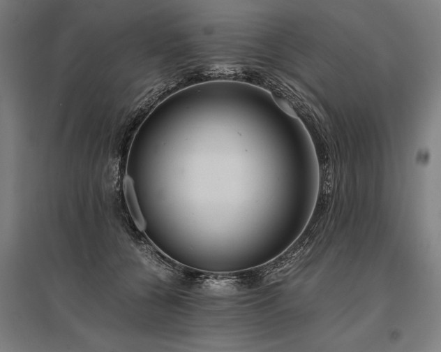 X0000096160560200801181227