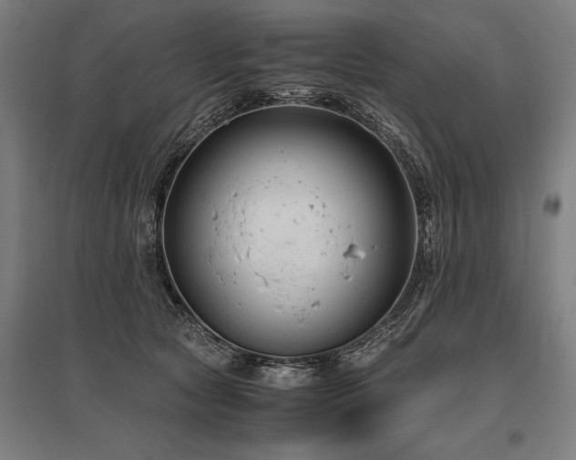 X0000096160561200801181227