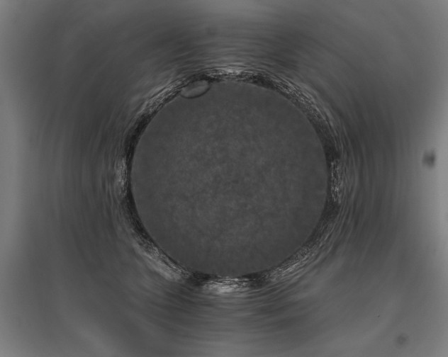 X0000096160563200801181227