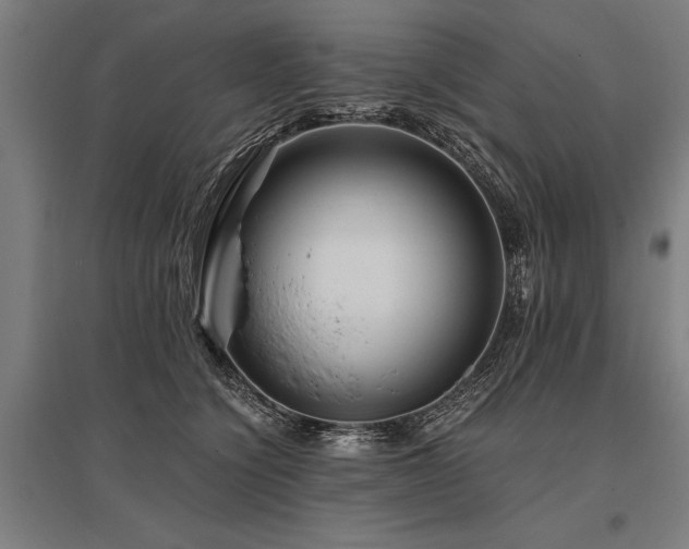 X0000096160564200801181227