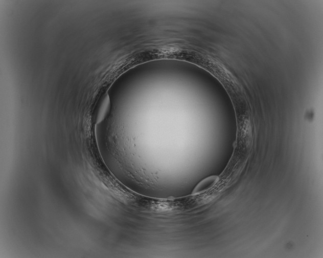 X0000096160565200801181227
