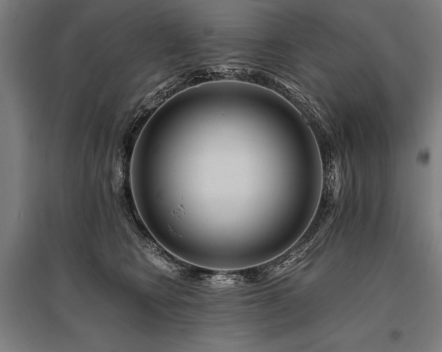 X0000096160566200801181227