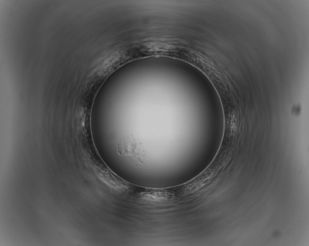 X0000096160567200801181227