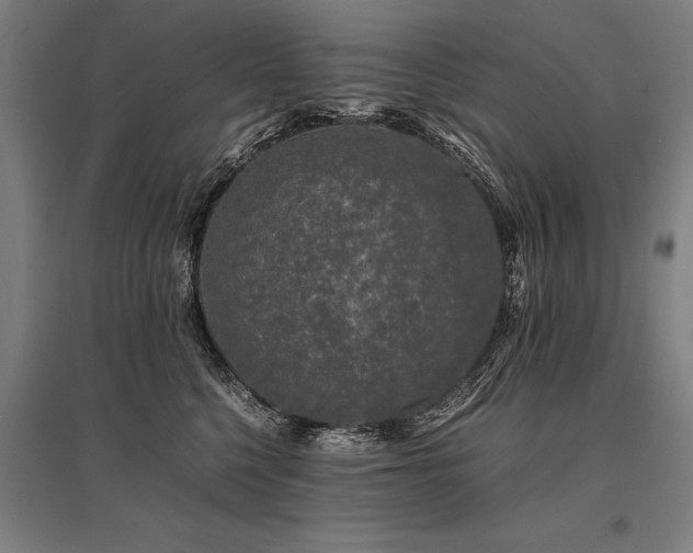 X0000096160568200801181227