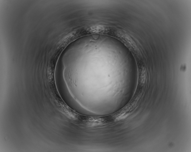 X0000096160569200801181227