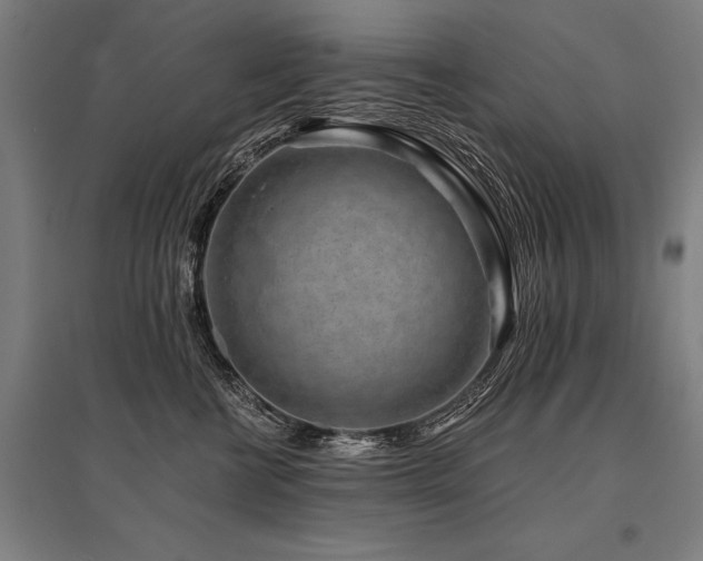 X0000096160570200801181227