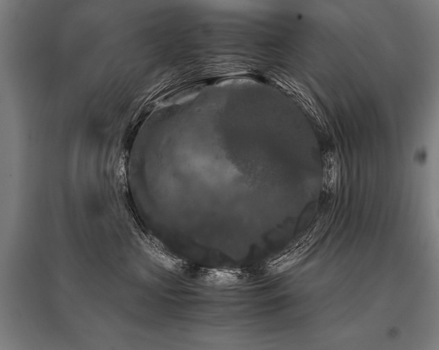 X0000096160573200801181227