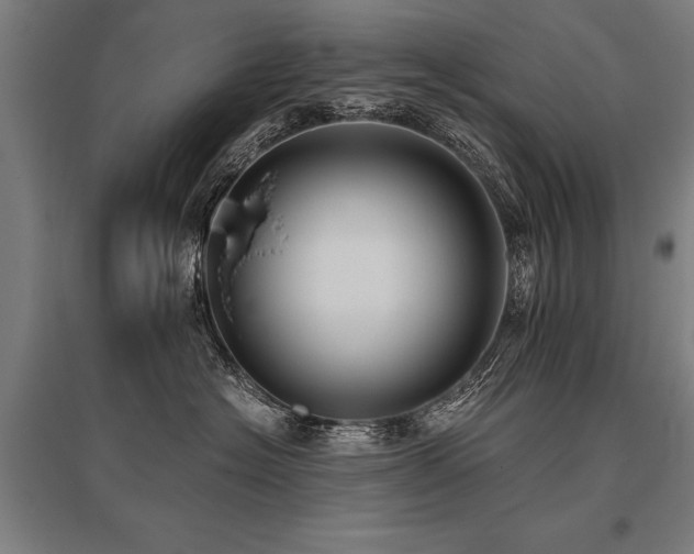 X0000096160574200801181227