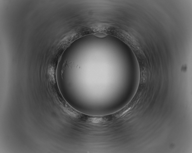 X0000096160575200801181227