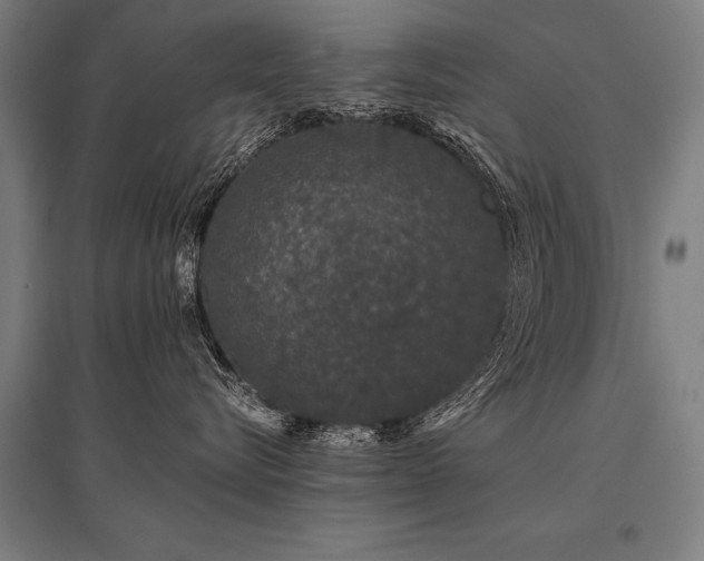 X0000096160576200801181227