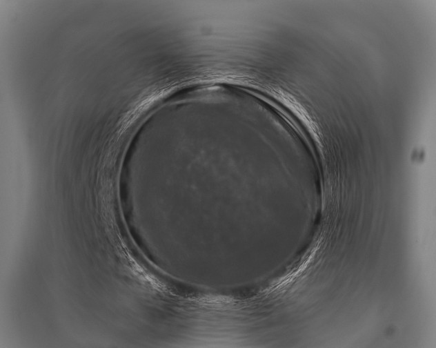 X0000096160577200801181226