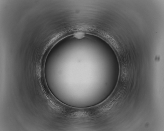 X0000096160578200801181226