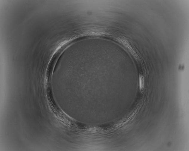 X0000096160579200801181226