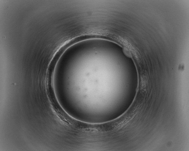 X0000096160580200801181226