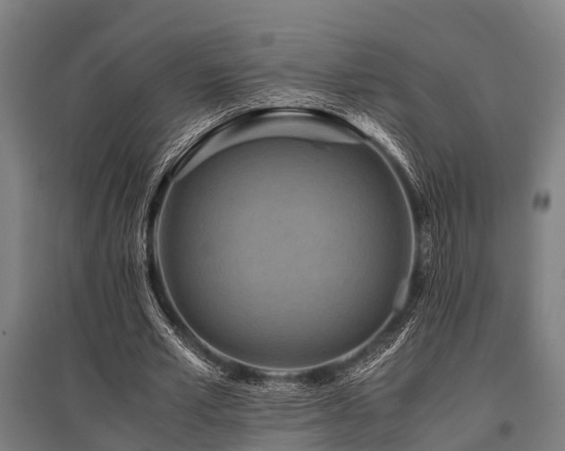 X0000096160581200801181226