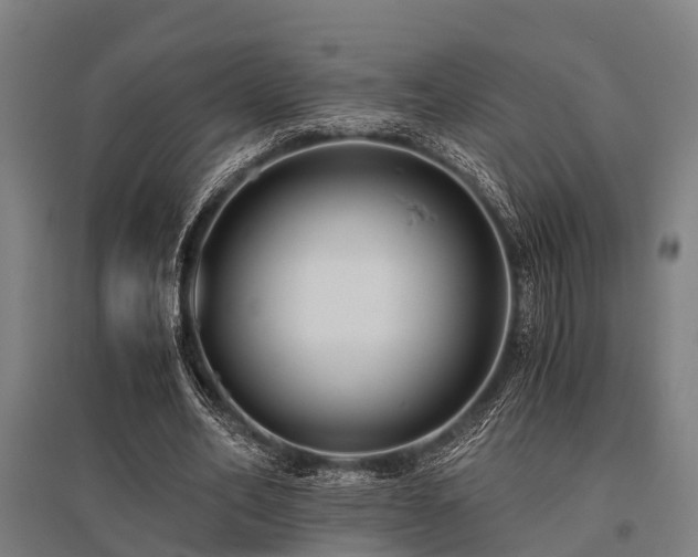 X0000096160582200801181226