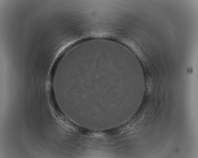 X0000096160583200801181226