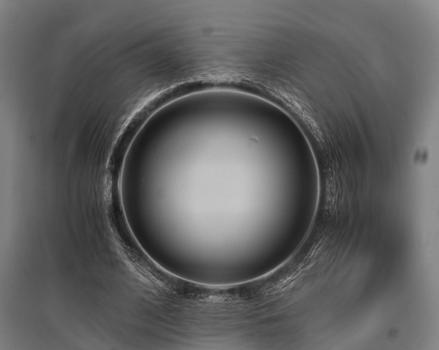 X0000096160584200801181226