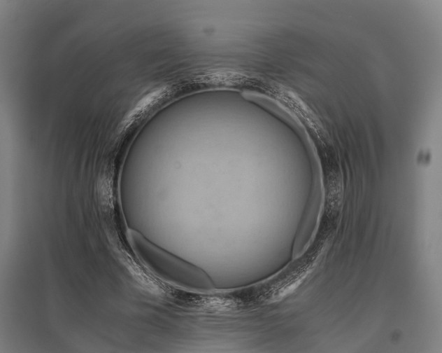 X0000096160585200801181226