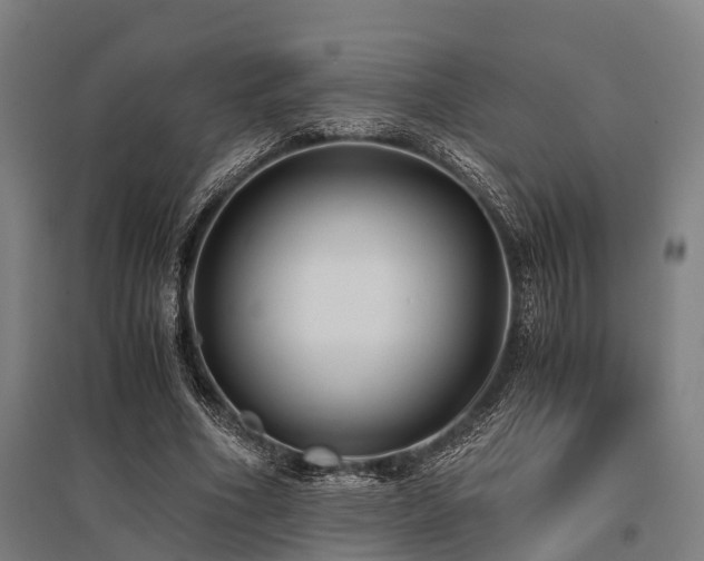X0000096160586200801181226