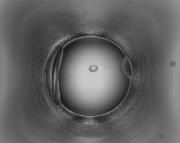 X0000096160587200801181226