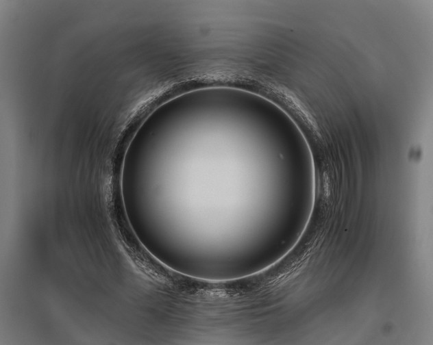 X0000096160588200801181226