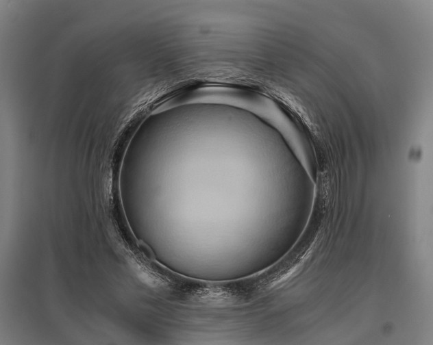 X0000096160589200801181226