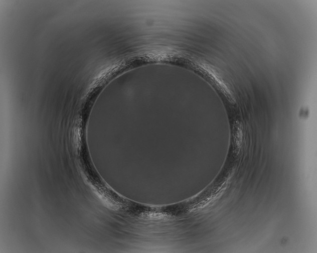 X0000096160590200801181226