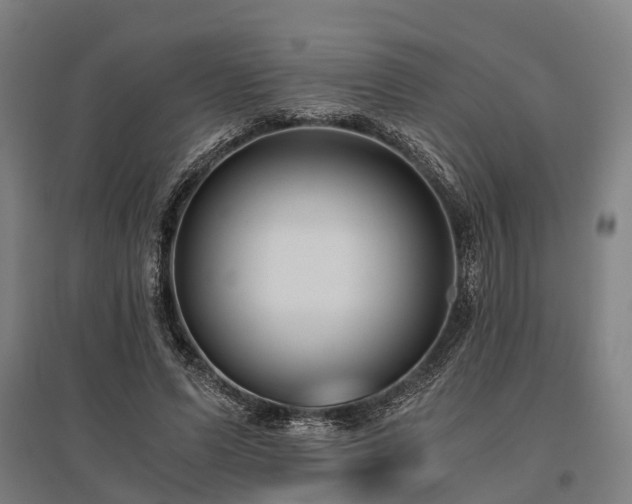 X0000096160591200801181226