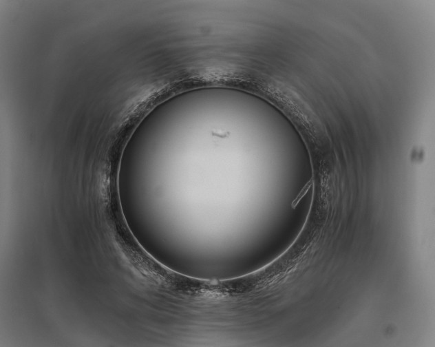 X0000096160592200801181226