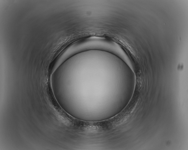 X0000096160593200801181226