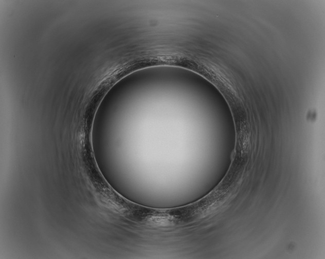 X0000096160595200801181226