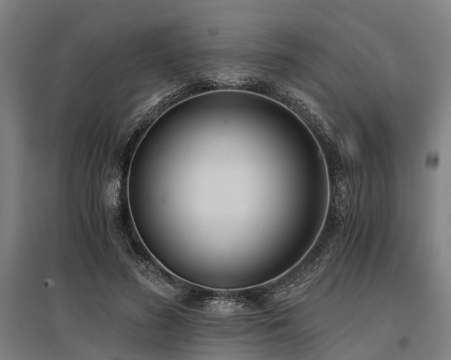 X0000096160596200801181226