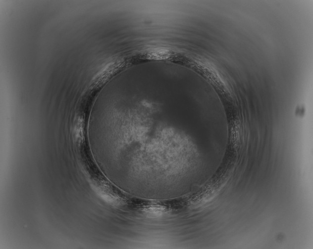 X0000096160598200801181226