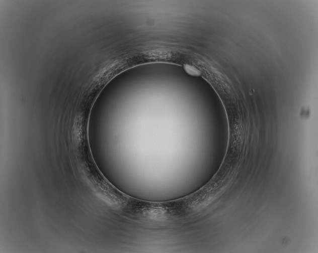 X0000096160600200801181226