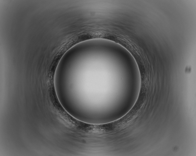 X0000096160601200801181226