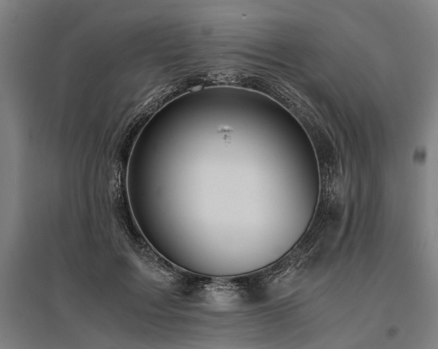X0000096160603200801181226