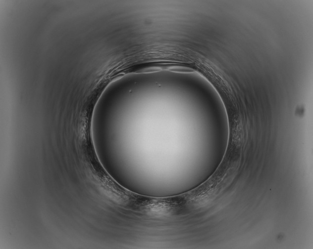 X0000096160604200801181226
