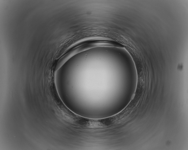 X0000096160605200801181226